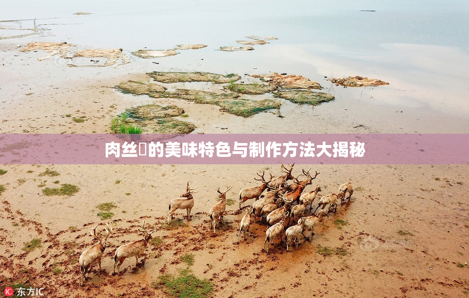 肉丝祙的美味特色与制作方法大揭秘