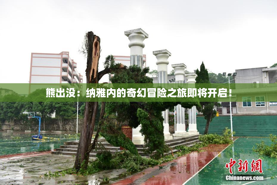 熊出没：纳雅内的奇幻冒险之旅即将开启！