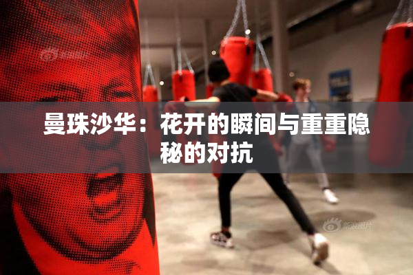 曼珠沙华：花开的瞬间与重重隐秘的对抗