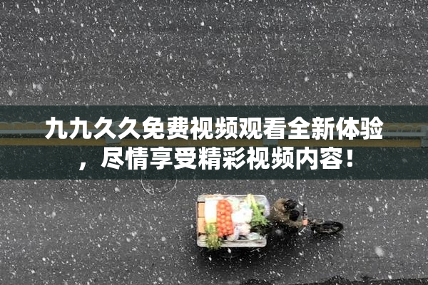 九九久久免费视频观看全新体验，尽情享受精彩视频内容！