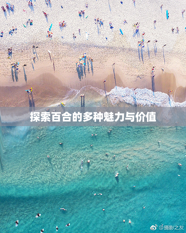 探索百合的多种魅力与价值