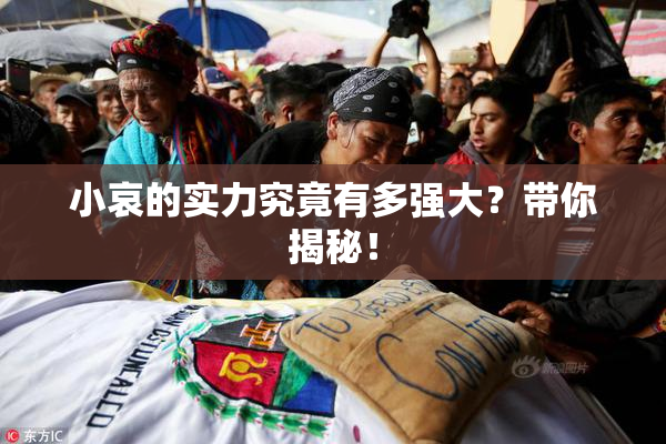 小哀的实力究竟有多强大？带你揭秘！