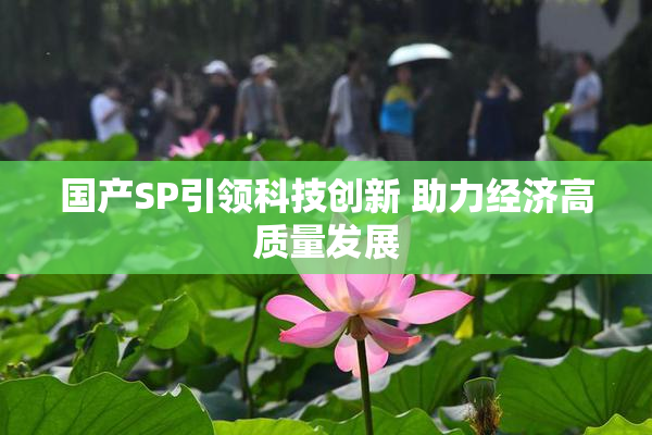 国产SP引领科技创新 助力经济高质量发展