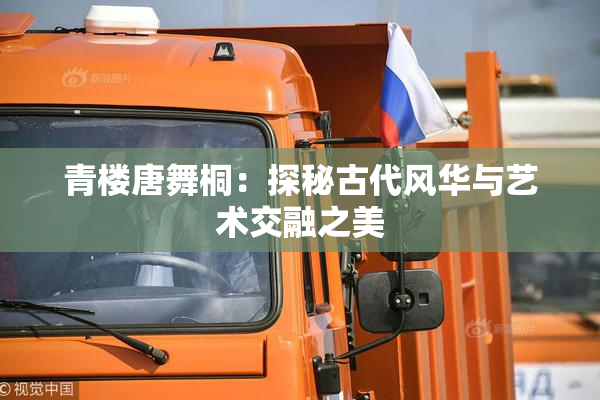 青楼唐舞桐：探秘古代风华与艺术交融之美