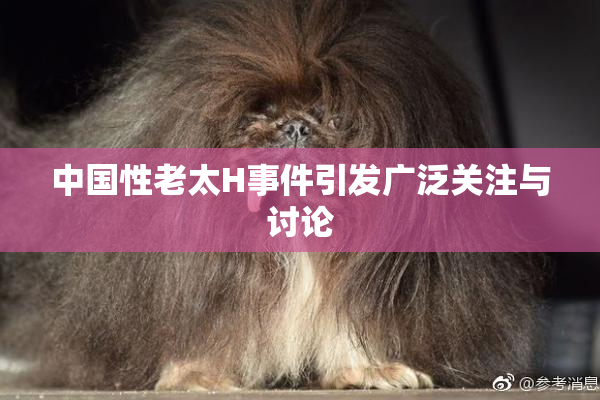 中国性老太H事件引发广泛关注与讨论