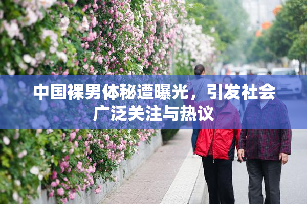 中国裸男体秘遭曝光，引发社会广泛关注与热议