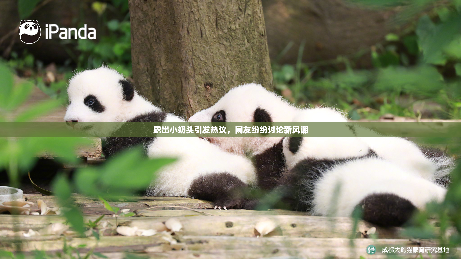 露出小奶头引发热议，网友纷纷讨论新风潮