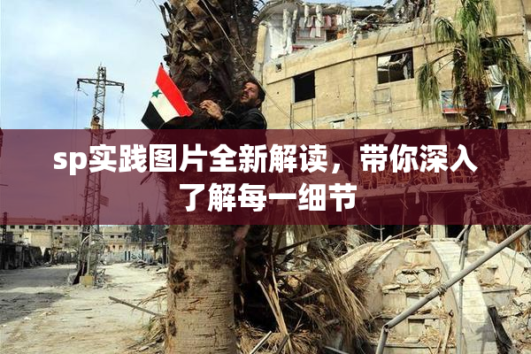 sp实践图片全新解读，带你深入了解每一细节