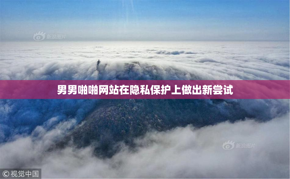 男男啪啪网站在隐私保护上做出新尝试