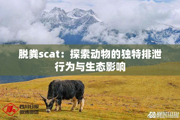 脱粪scat：探索动物的独特排泄行为与生态影响