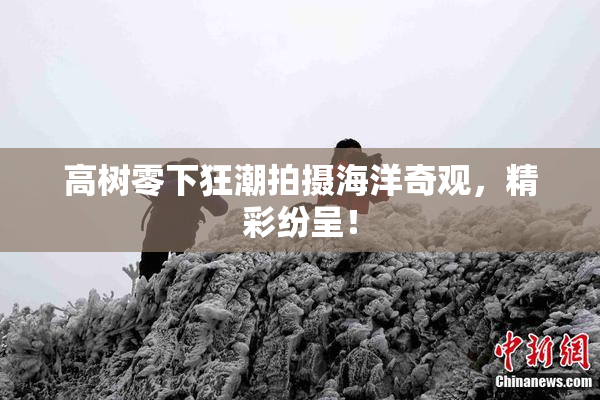 高树零下狂潮拍摄海洋奇观，精彩纷呈！