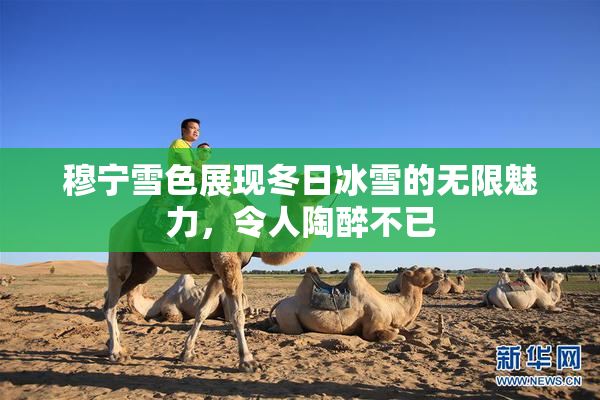 穆宁雪色展现冬日冰雪的无限魅力，令人陶醉不已