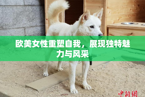 欧美女性重塑自我，展现独特魅力与风采