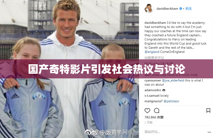 国产奇特影片引发社会热议与讨论