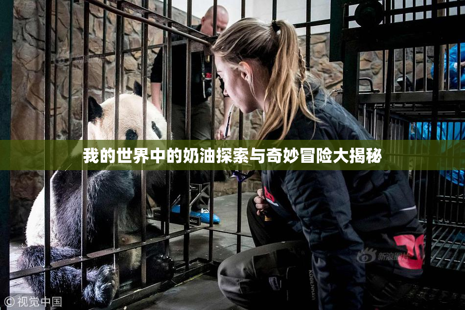我的世界中的奶油探索与奇妙冒险大揭秘