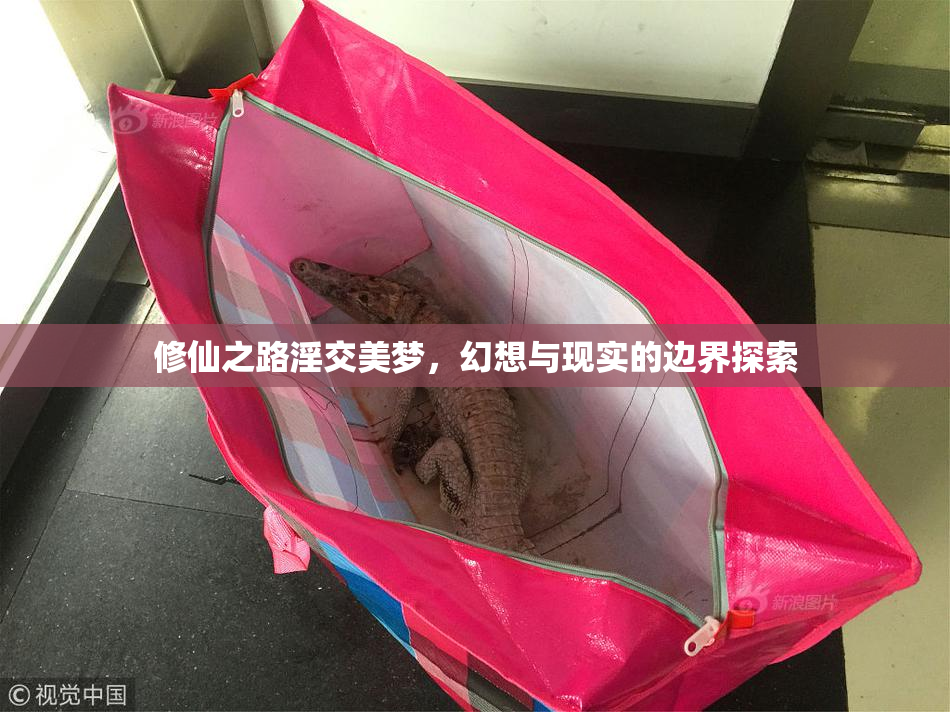 修仙之路淫交美梦，幻想与现实的边界探索