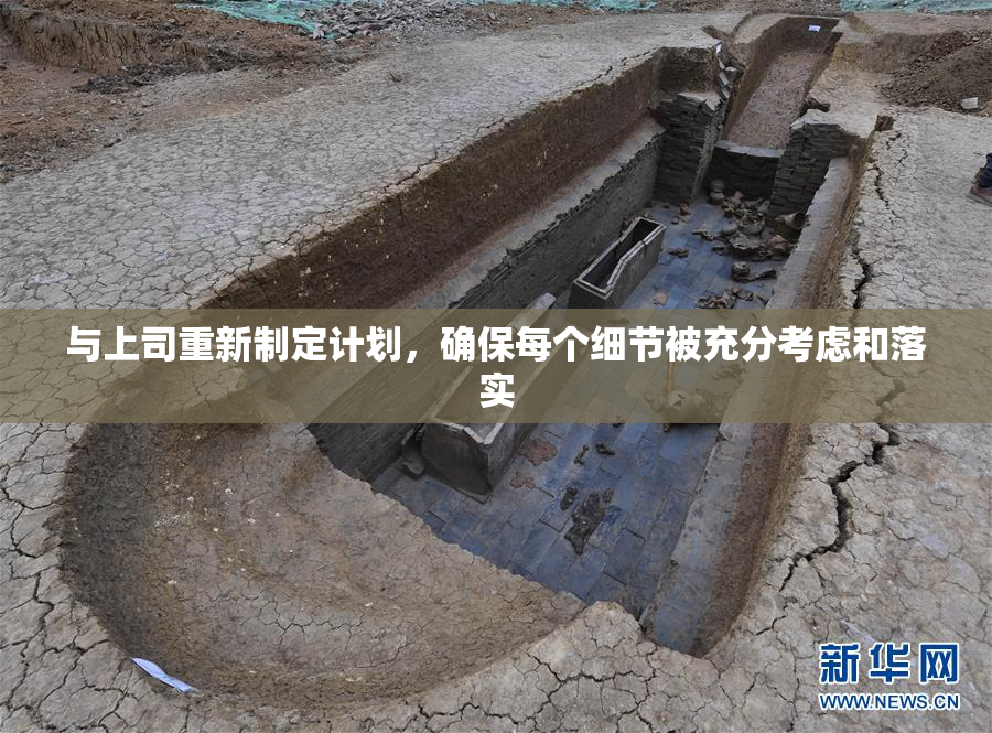 与上司重新制定计划，确保每个细节被充分考虑和落实