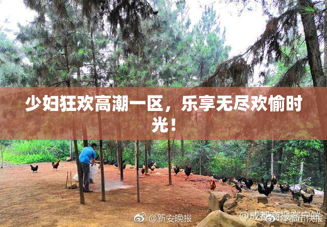 少妇狂欢高潮一区，乐享无尽欢愉时光！