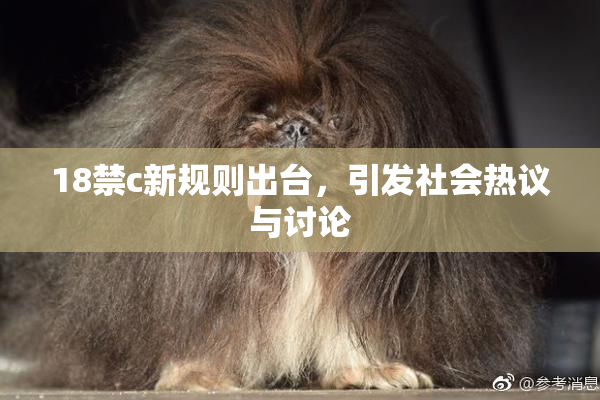 18禁c新规则出台，引发社会热议与讨论