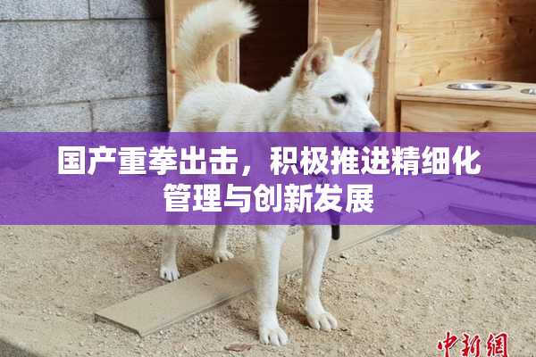 国产重拳出击，积极推进精细化管理与创新发展
