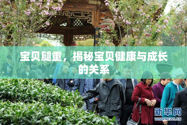 宝贝腿重，揭秘宝贝健康与成长的关系