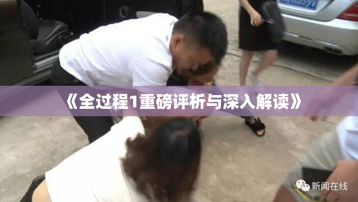 《全过程1重磅评析与深入解读》