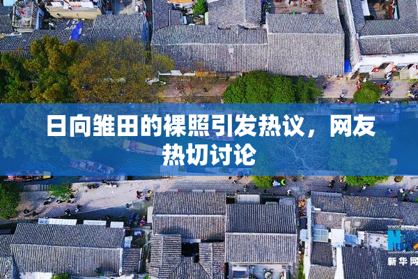 日向雏田的裸照引发热议，网友热切讨论