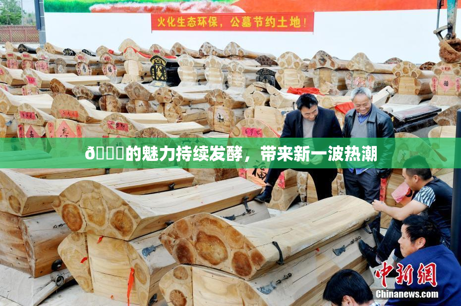 🈚的魅力持续发酵，带来新一波热潮