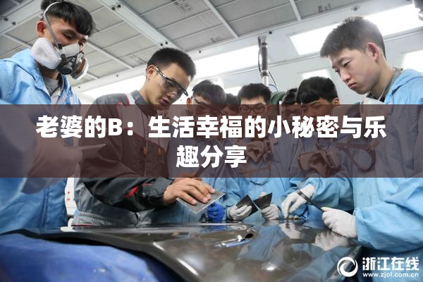 老婆的B：生活幸福的小秘密与乐趣分享