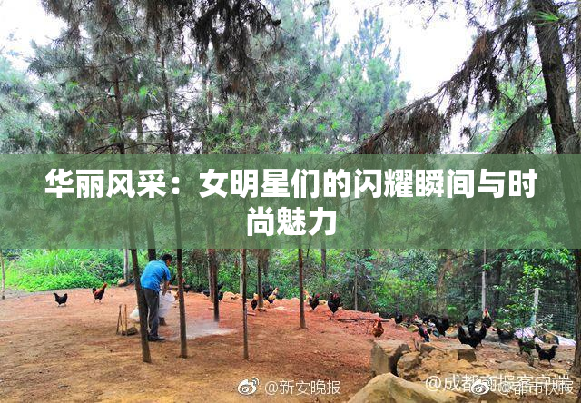 华丽风采：女明星们的闪耀瞬间与时尚魅力