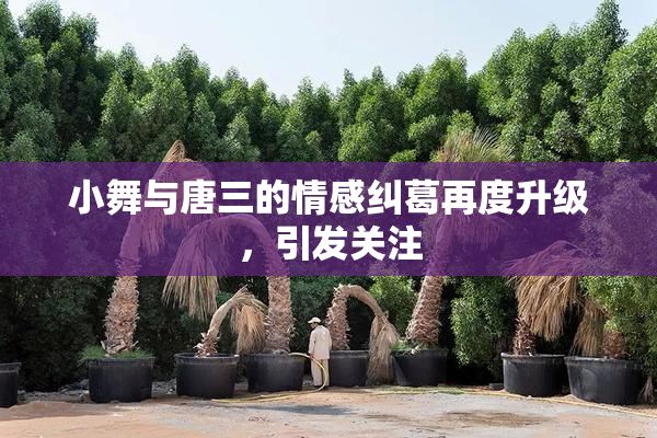 小舞与唐三的情感纠葛再度升级，引发关注