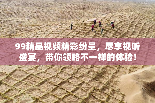 99精品视频精彩纷呈，尽享视听盛宴，带你领略不一样的体验！