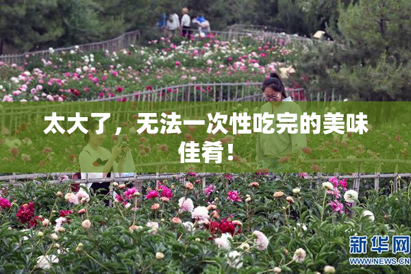 太大了，无法一次性吃完的美味佳肴！