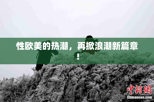 性欧美的热潮，再掀浪潮新篇章！
