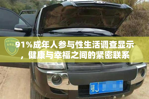 91%成年人参与性生活调查显示，健康与幸福之间的紧密联系