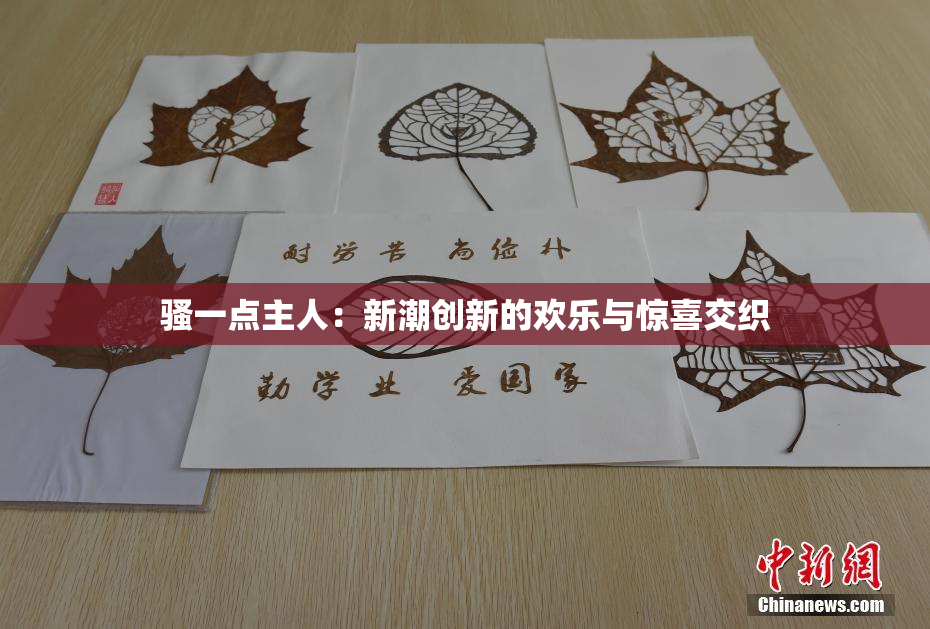 骚一点主人：新潮创新的欢乐与惊喜交织