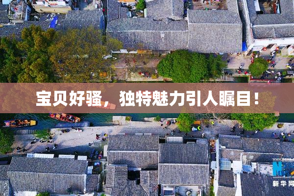 宝贝好骚，独特魅力引人瞩目！