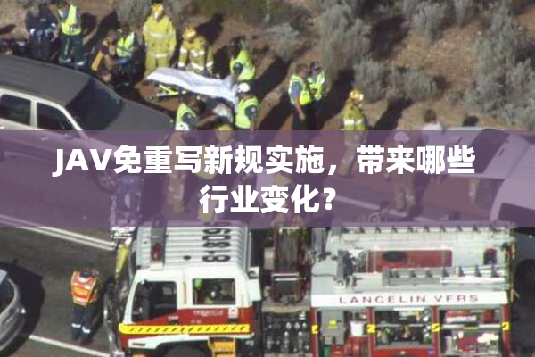 JAV免重写新规实施，带来哪些行业变化？