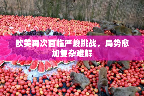 欧美再次面临严峻挑战，局势愈加复杂难解