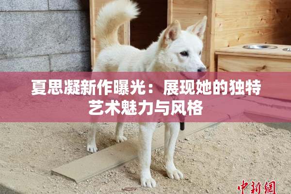 夏思凝新作曝光：展现她的独特艺术魅力与风格