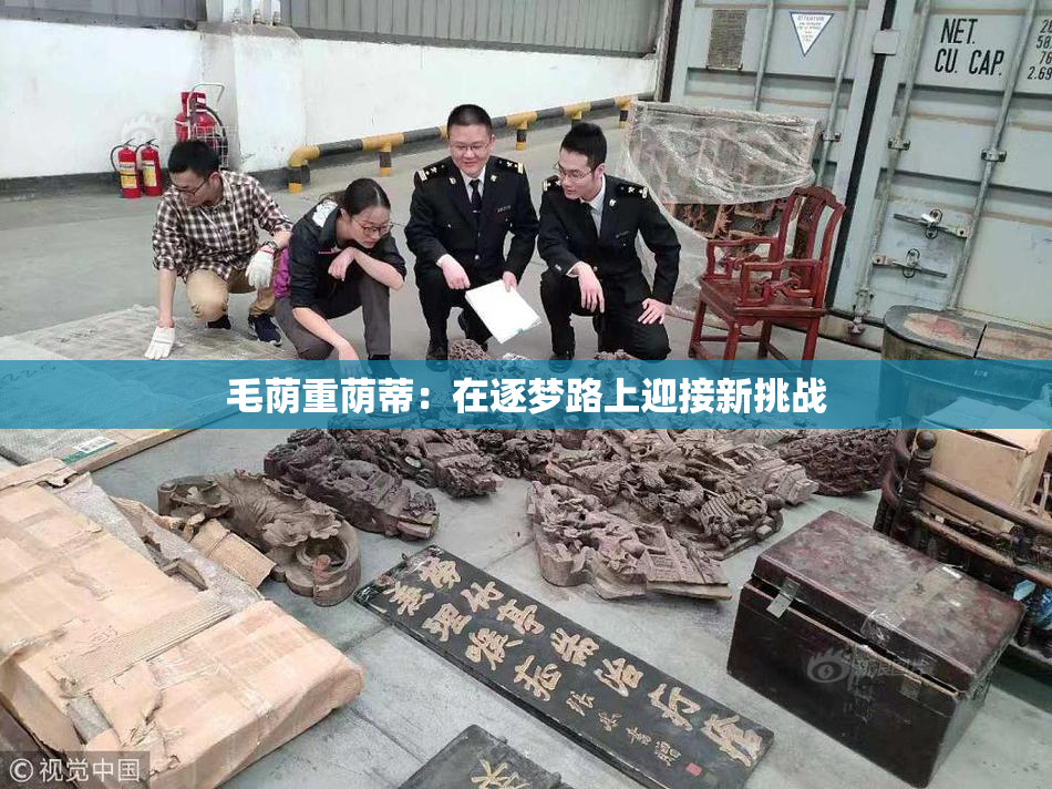 毛荫重荫蒂：在逐梦路上迎接新挑战