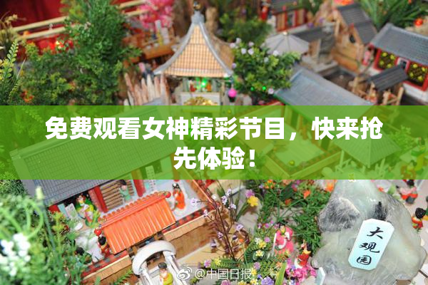 免费观看女神精彩节目，快来抢先体验！