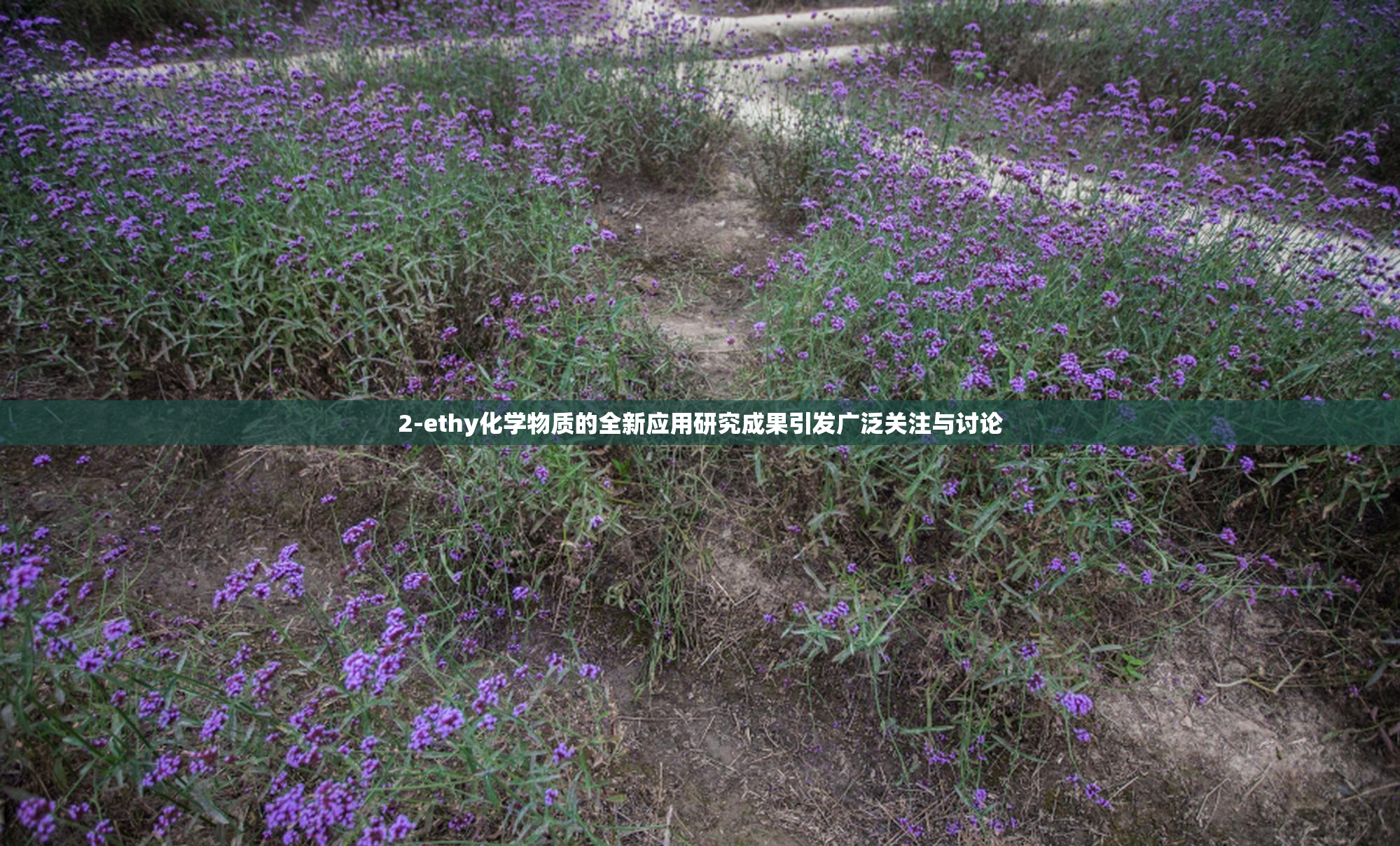 2-ethy化学物质的全新应用研究成果引发广泛关注与讨论