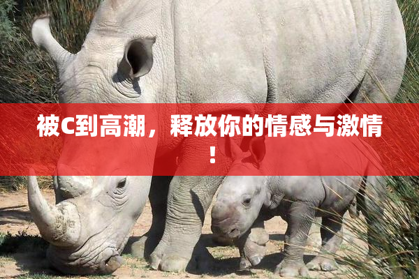 被C到高潮，释放你的情感与激情！