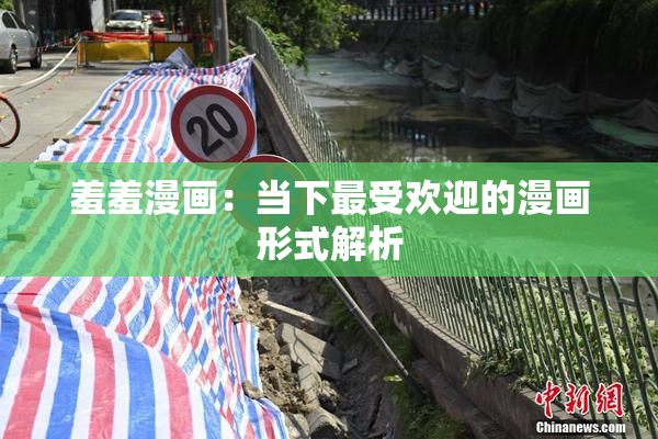 羞羞漫画：当下最受欢迎的漫画形式解析