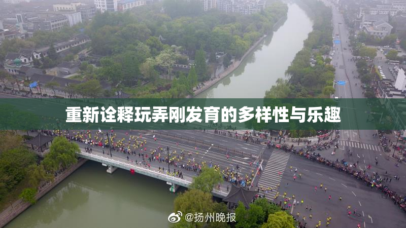重新诠释玩弄刚发育的多样性与乐趣