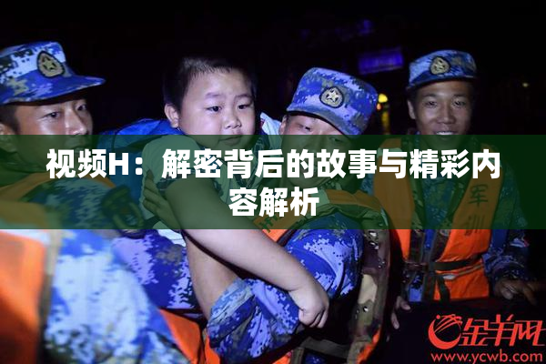 视频H：解密背后的故事与精彩内容解析