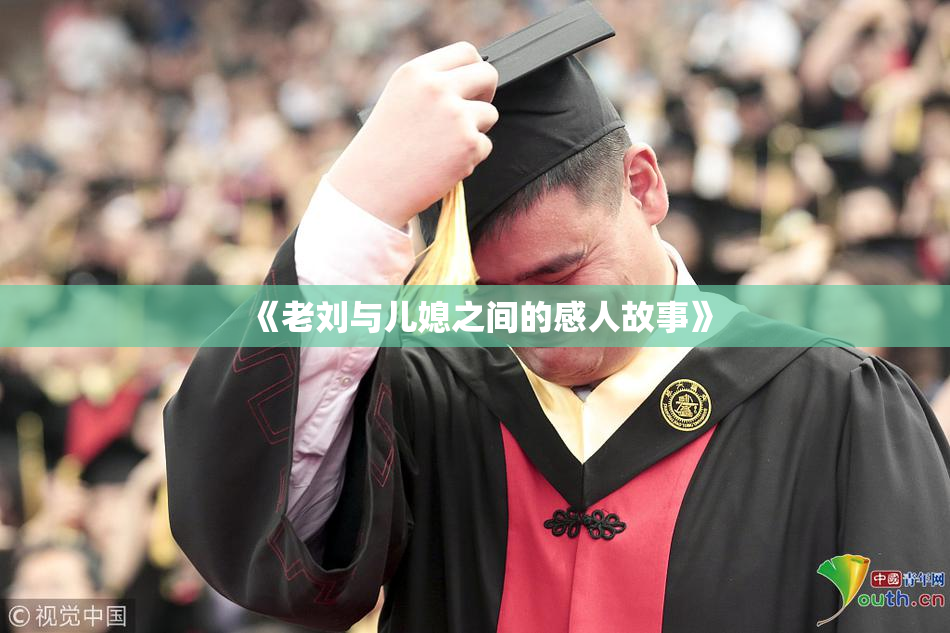 《老刘与儿媳之间的感人故事》