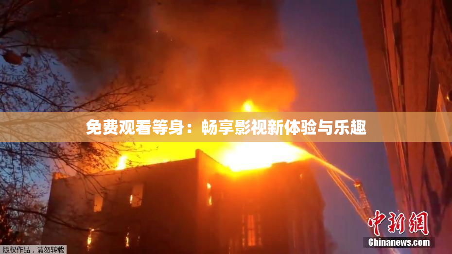 免费观看等身：畅享影视新体验与乐趣