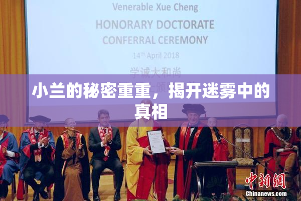 小兰的秘密重重，揭开迷雾中的真相